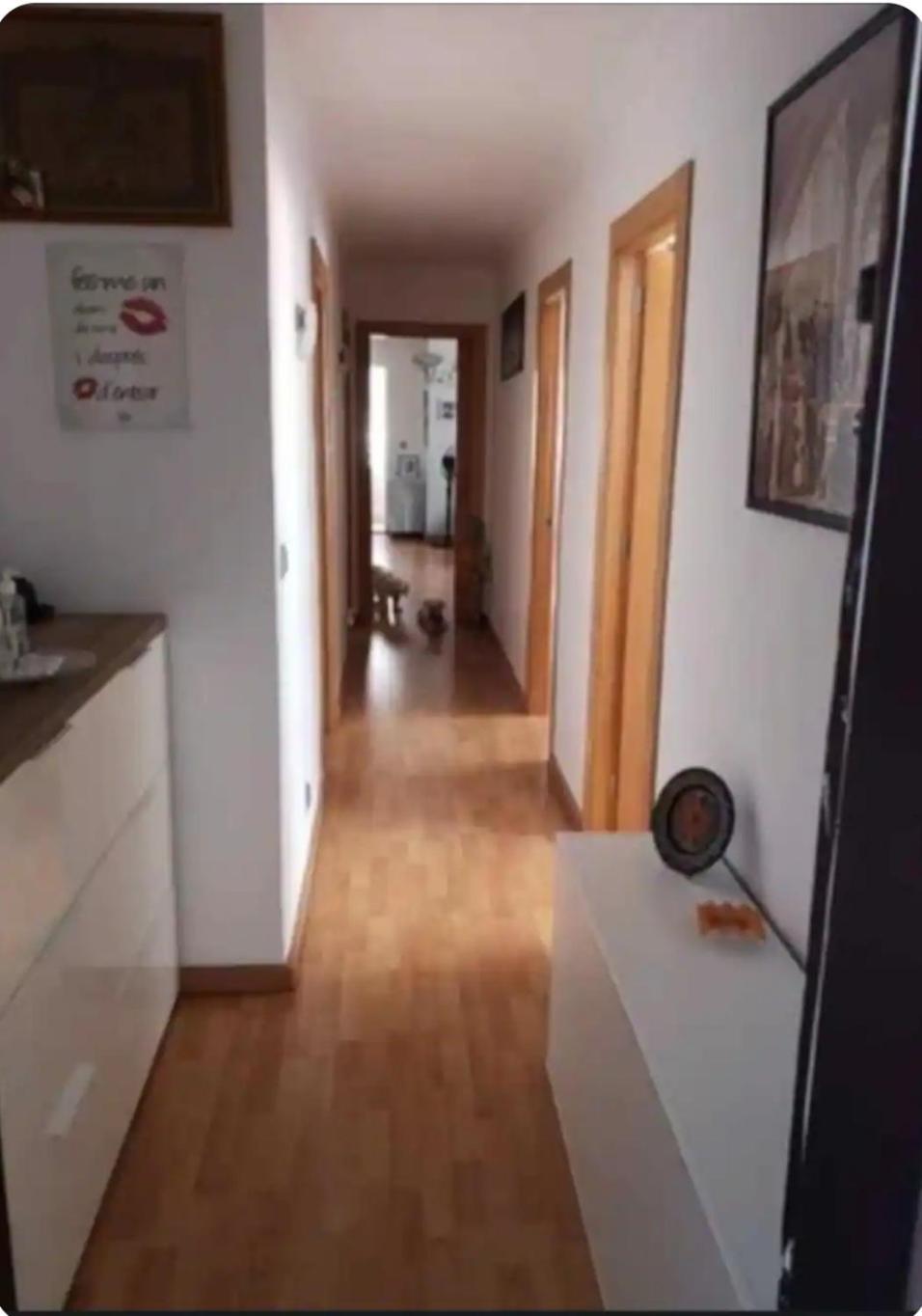 Habitacion Maria Jose Benidorm Eksteriør bilde